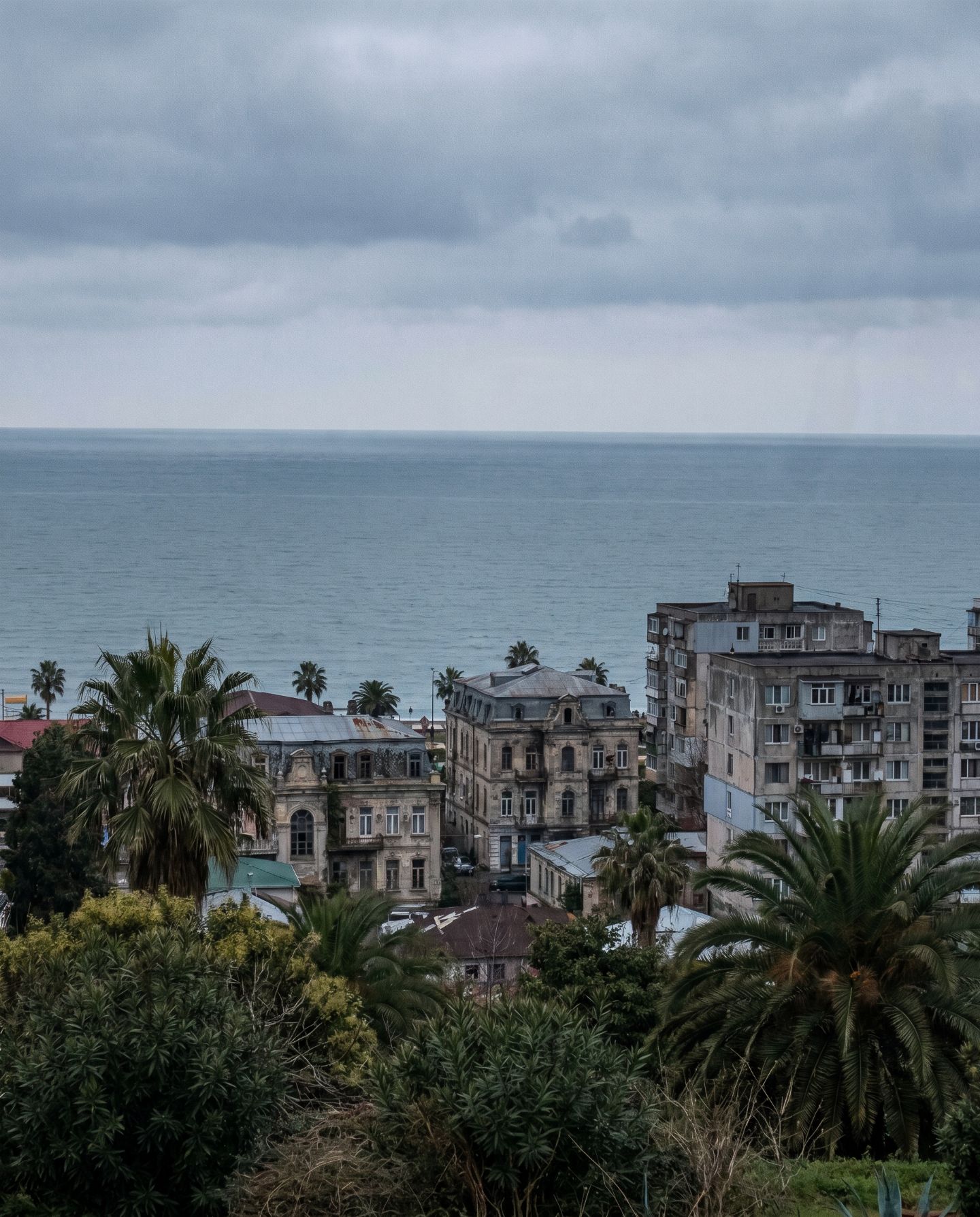 Tres palmeras y un horizonte turco